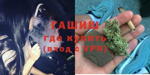 прущие грибы Болотное
