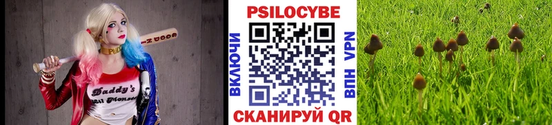 Галлюциногенные грибы мухоморы как найти закладки Суоярви