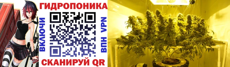 Канабис OG Kush Суоярви